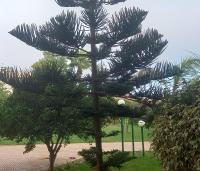 iris appart vue dégagée, bon emplacement - Chambres d’hôtes Salé