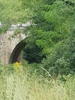 GITE LE PONT DE LA BLOUE - BAS-EN-BASSET, HAUTE-LOIRE, MAISON CLIMATISEE, TERRASSE, JARDIN - ATMOSPHERE ATYPIQUE et NATURE - Chambres d'hôtes Bas-en-Basset