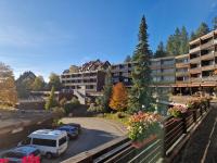 Foresty Appartement - Chambres d’hôtes Schonach