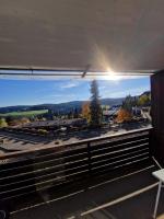 Foresty Appartement - B&B Schonach