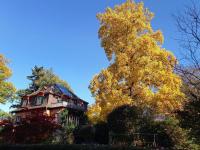 Ferienwohnung Unterm Tulpenbaum - B&B Müllheim