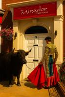 The Mirador Boutique Town House - B&B Swansea