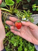 Neomi Homestay Malang - B&B Mendit