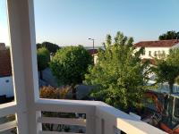 Rose Pompon - B&B Fouras