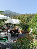 La Viñita - B&B El Paso