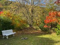 Haus am Bach - B&B Schleiden