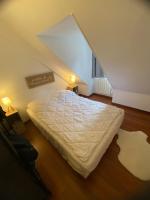 T3 Luchon Centre - Randonnée - Thermes & Nature - B&B Bagnères-de-Luchon