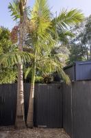 The Local House - Byron Bay - B&B Byron Bay