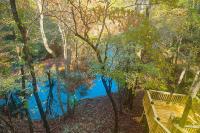 Crabapple-Secluded cabin with pond creek access, hot tube, fire pit in Blue Ridge - B&B Morganton