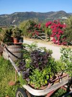 Barone Montefeo - B&B Librizzi