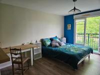 Orleans appartement 31 m2 - B&B Saint-Jean-de-la-Ruelle