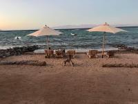 Hakuna Matata Dahab - Chambres d’hôtes Dahab