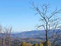 Dom w Sadzie Frydrychówka - B&B Jaworzynka