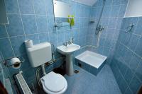 Vila Miruna - Ferienwohnung Râuşor