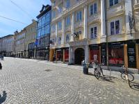 Historic Townhouse Apartment Tina by City Hall - Ferienwohnung Ljubljana