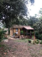 Cabane bambou - B&B Apt