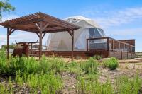 Luxury Glamping Dome on Texas Farm - B&B San Marcos