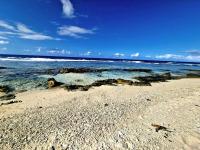 Fare Moana - Bungalow côté mer, proche plage Temae - B&B Maraa