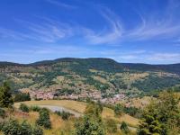 Gîte spacieux à 2 km des pistes de ski - Bed and Breakfast Bussang