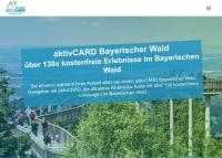 App mit Klima, Pool, Garage für Auto, Bike, Skier inkl AktivCARD bayerischer Wald - B&B Sankt Englmar