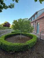 Edelhof1877 - Ferienwohnung Thedinghausen