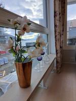 Downtown apartment all to yourself - B&B Tromsø