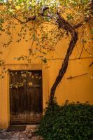 Appartamento con terrazza La Voliera di Bacco - Bed and Breakfast Frascati