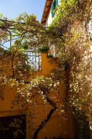 Appartamento con terrazza La Voliera di Bacco - Chambres d’hôtes Frascati