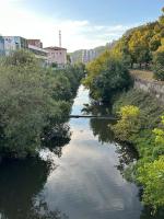 Apartment with Garden View