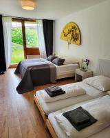 Mountain view with garden, parking on site free - B&B Schonach im Schwarzwald