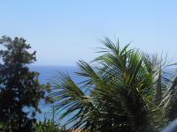 Studio with Garden View