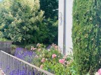 ZU HAUSE Pfalz - B&B Bad Dürkheim