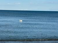 Luxury Apartment Living - B&B Mississauga