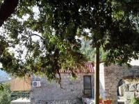 Cottage Melita the Apartment for Animal Lovers - B&B Babino Polje