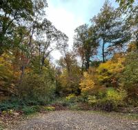 Mecsek apartman - Ferienwohnung Fünfkirchen