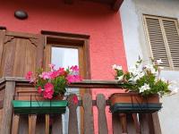 123 la casa nel bosco - B&B Curino