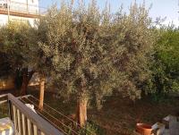 Casa Isotta - B&B Fondi