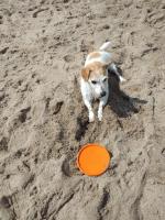 Ferienwohnung Timmestrand - B&B Timmendorfer Strand