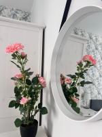 Apartamenty Szlachecki I Pod Artusem - B&B Gdansk