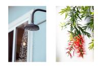 The Blue Beach House - Pet Friendly Coastal Escape in Mollymook - Chambres d'hôtes Mollymook