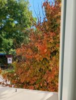 GEA House - B&B Giovecca