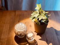 KT-HouSe FUKUOKA ツイン - B&B Fukuoka