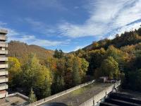 Bergtraum Schwimmbad, Sauna, Familienbett, Kinderbett, 2 Bäder - Chambres d'hôtes Bad Harzburg