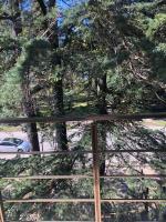 Three Pines - Ferienwohnung Kobuleti