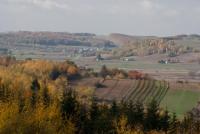 Suite con 3 Camere da Letto