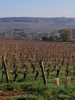 Maison bourguignonne - B&B Lugny