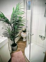 Quiet & Modern Studio near Tram & River Lech - B&B Augusta