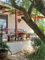 Oz on M8re - B&B Stanford