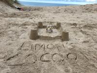 Limon's Cocoon - Bed and Breakfast De Panne