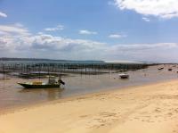 Le petit nid douillet du Bassin - B&B Gujan-Mestras